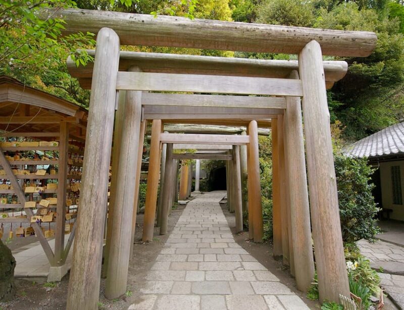 Kamakura: 5-Hour Nature and History Walking Tour - Important Information