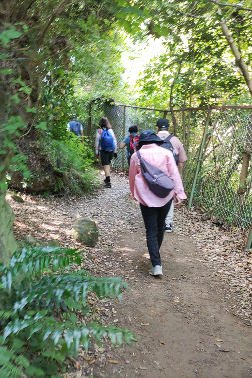 Kamakura: Hiking With Private Guide in Spanish - Cultural Significance of Kamakura