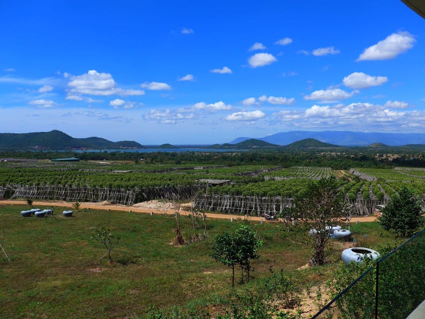 Kampot Day Trip to Pepper Farm, Temple/Market and Salt Field - Pepper Farm Experience