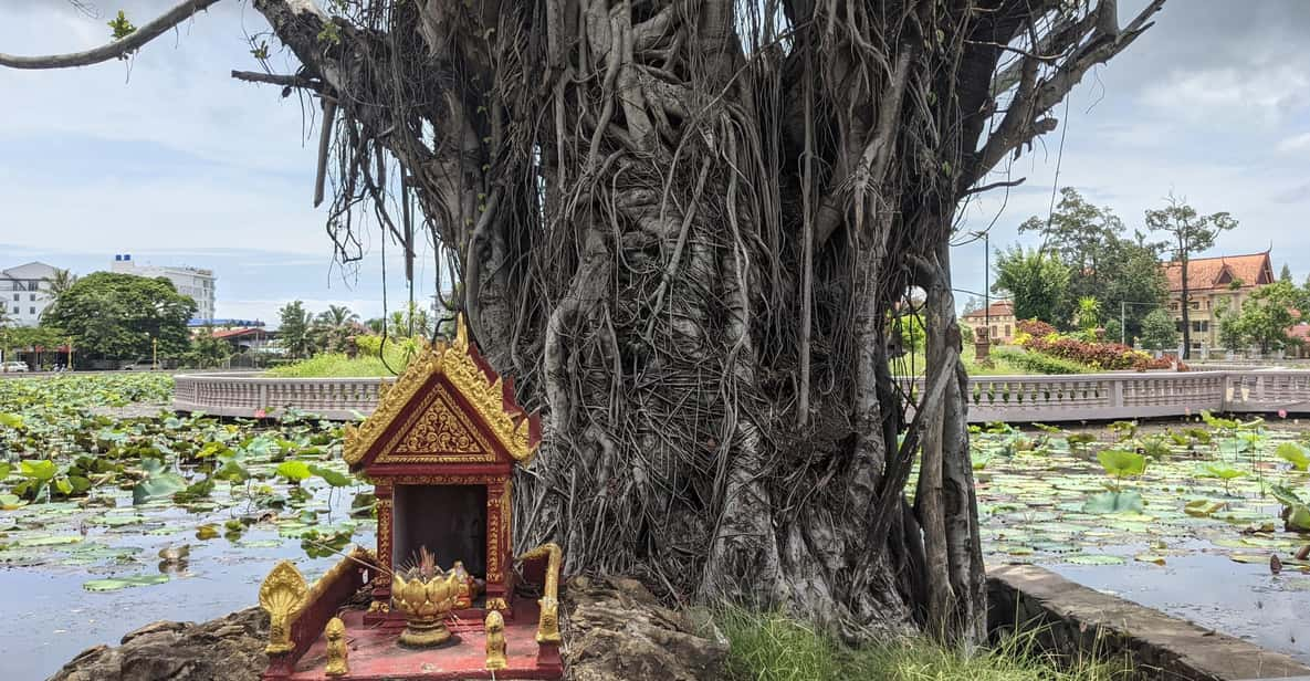 Kampot: Free Walking Tour - Experience and Learning