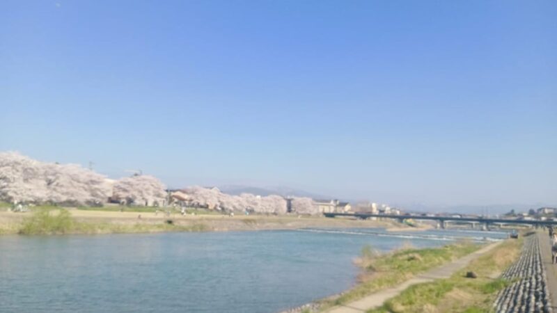 Kanazawa Walking Tour - Transportation and Inclusions