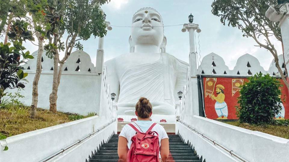 Kandy Royal Botanical Gardens Peradeniya By Tuk Sri Lanka - Cultural Experiences