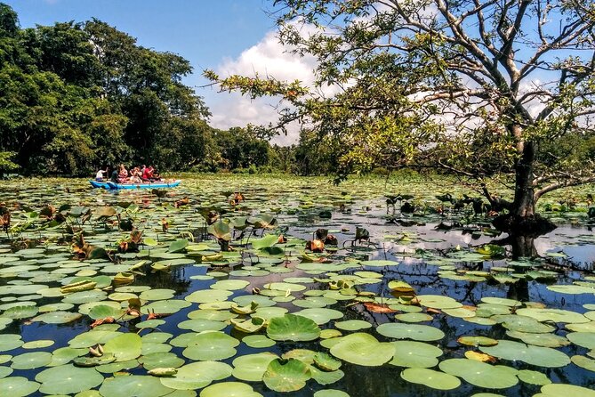 Kandy - Sigiriya Full-Day Private Tour - Transportation Details