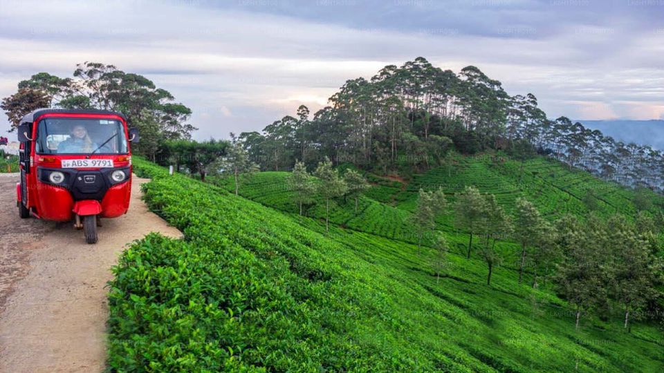 Kandy to Nuwara Eliya Day Tour by Tuk Tuk Sri Lanka - Main Attractions