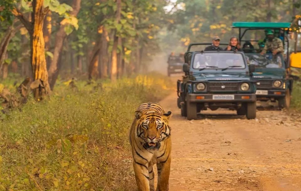 Kathmandu: 4-Day Private Chitwan National Park Safari Tour - Daily Itinerary