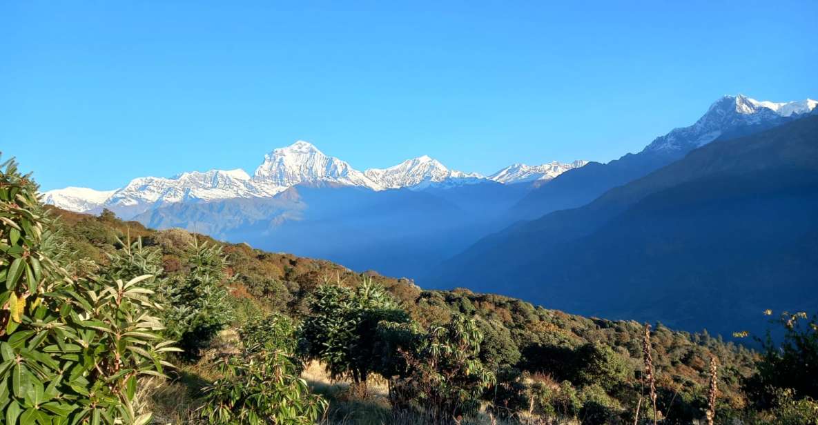 Kathmandu- 8 Days Ghorepani Poonhil Trek - Pricing and Booking Information