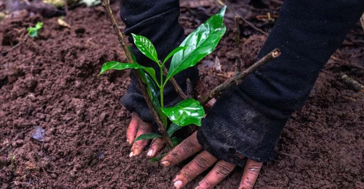 Kathmandu: Hike Jamachwok & Tree Planting for Carbon Neutral - Pricing Information