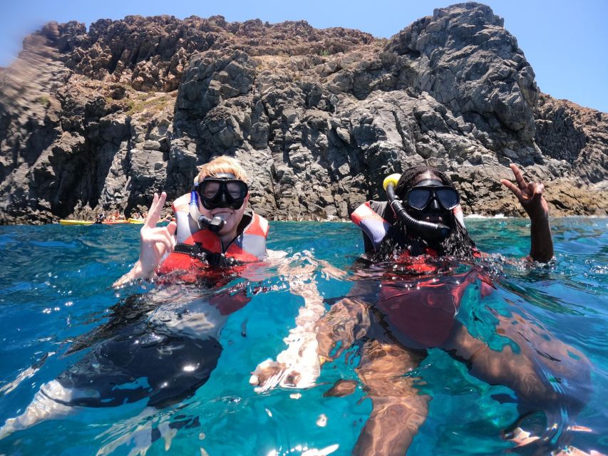 Kayaking and Snorkeling With Turtles - Highlights of the Experience