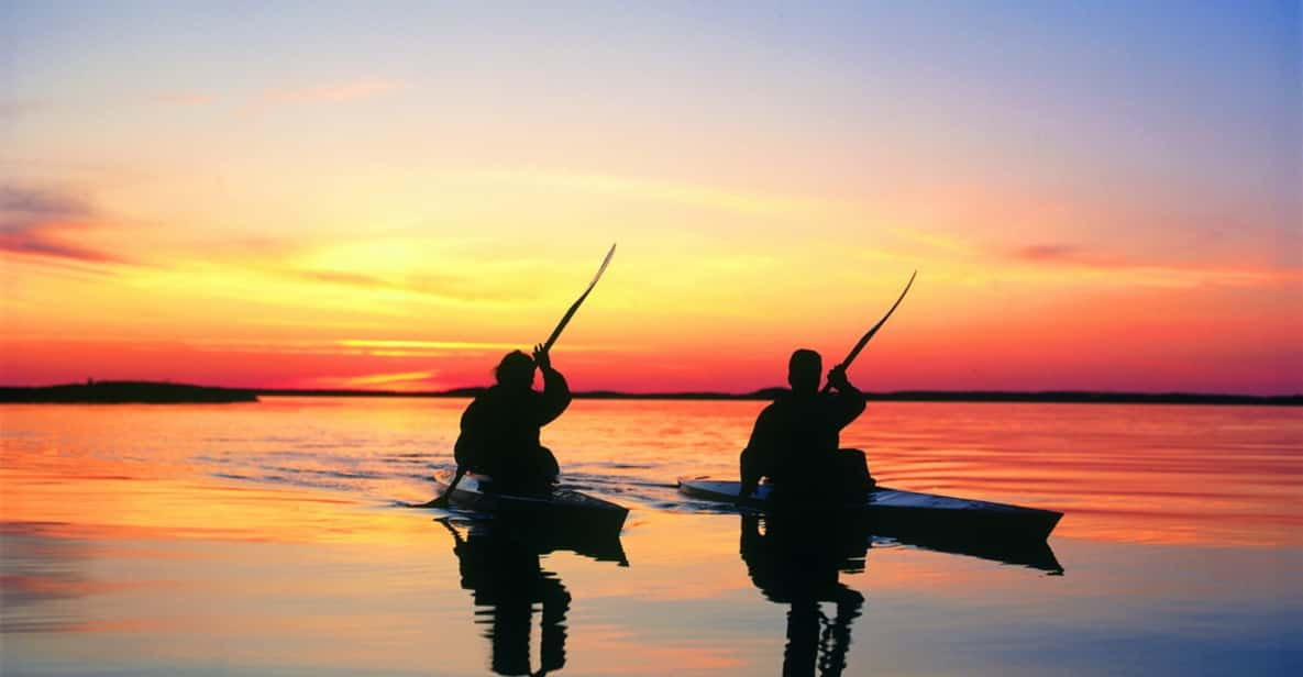 Kayaking Jeffreys Bay - Wildlife and Scenic Experience