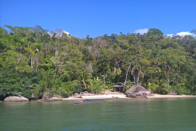 Kayaking Mangroves Tour - Wildlife Encounters