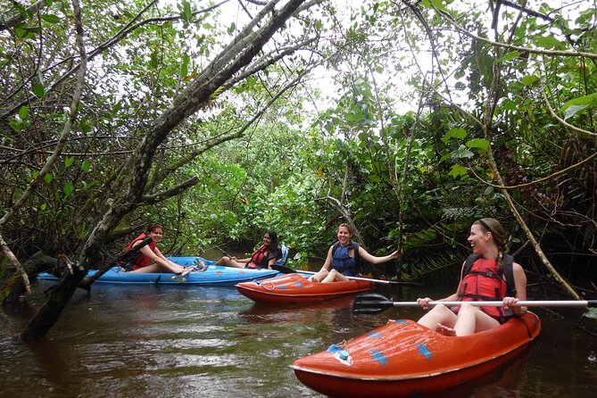 Kayaking Mangroves Tour - Equipment and Group Size