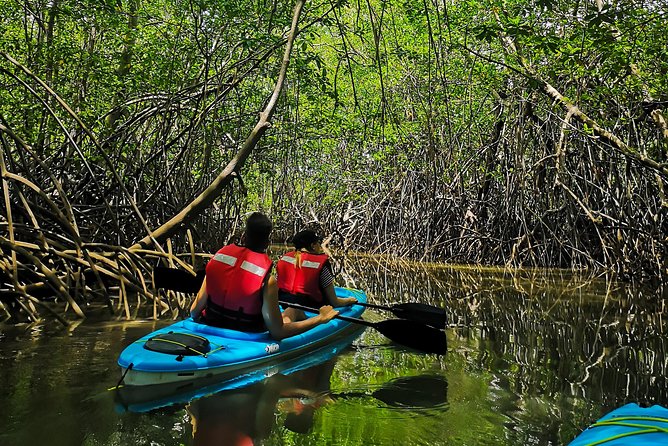 Kayaking Tour Chiriqui - Beginner-Friendly Nature Adventure