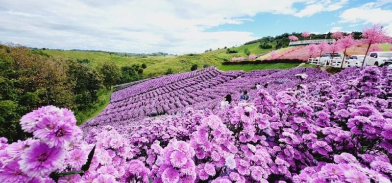 Khao Kho Private Tour From Bangkok | Thailand - Driver and Language