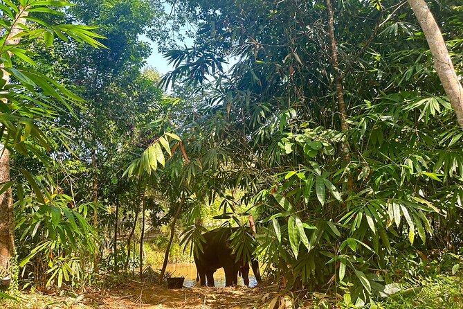 Khaolak Elephant Sanctuary, Cooking Class and Waterfall Tour - Waterfall Tour Highlights