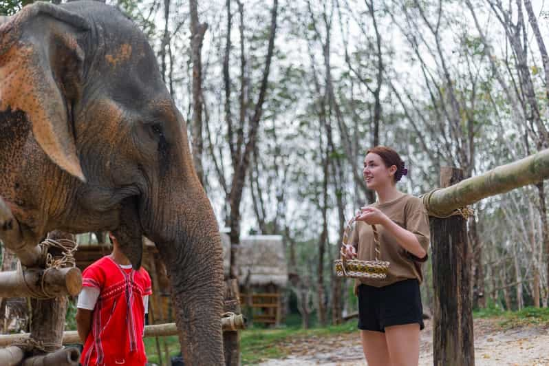 Khaolak: Elephant Sanctuary Guided Tour With Hotel Transfers - Activities and Highlights