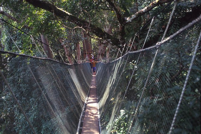 Kinabalu Park & Poring Hot Spring Tour - Wildlife and Flora Experience
