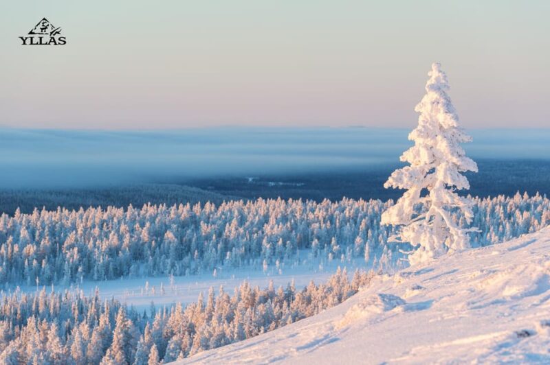 King of Ylläs: Snowmobiling to the Hill - Whats Included in the Package