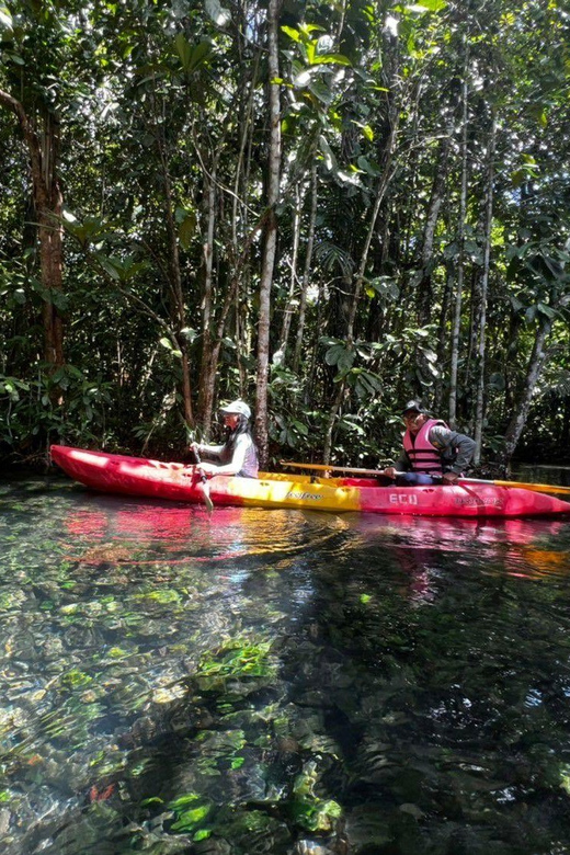 Klong Rud Kayaking With Hotel Transfer - Kayaking Experience