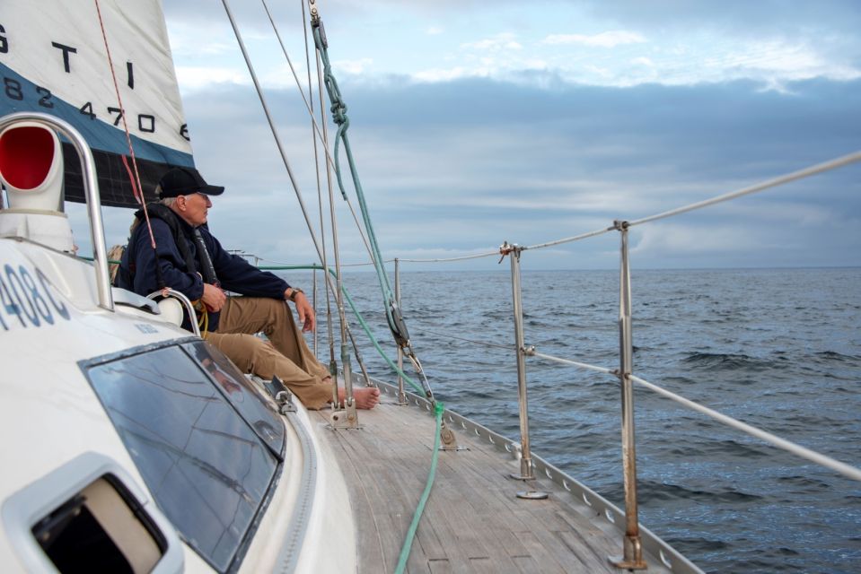 Knysna: 2.5-Hour Day Sail & Lunch Charter - Picnic on the Deck