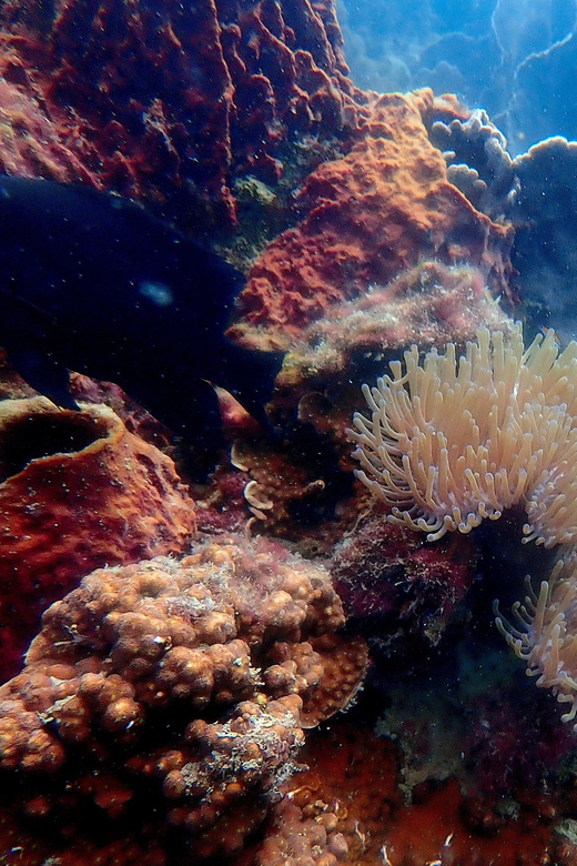 Ko Kut: Private Boat Trip to Koh Rang the National Park - Inclusions