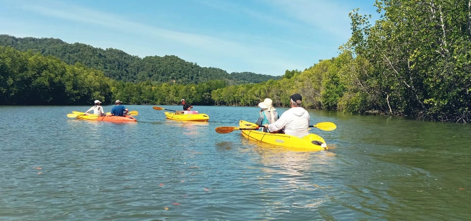 Ko Lanta: Half-Day Mangrove Eco Kayak Experience With Lunch - Highlights and Experience