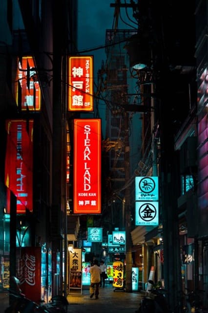 Kobe Private Full Day Tour With a Culinary Guide - Private Tour Features
