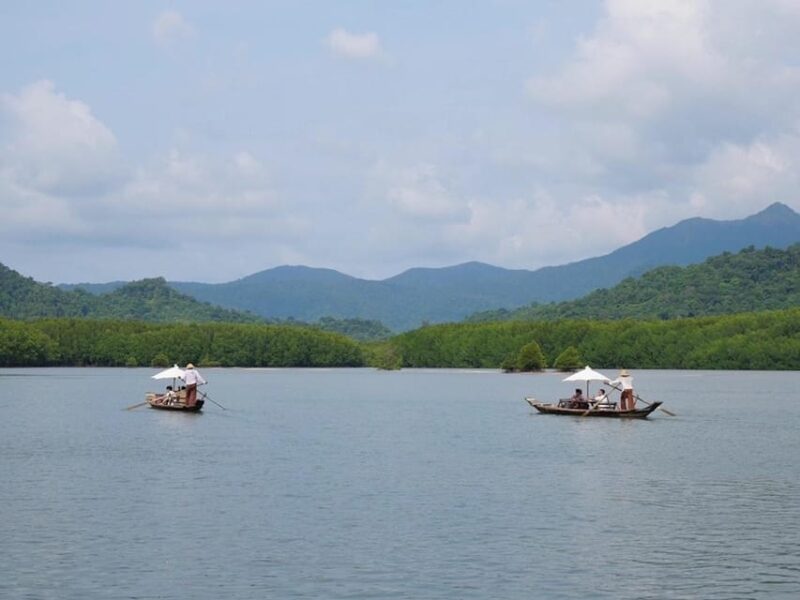 Koh Chang: Mangrove Forest Gondola Tour - Inclusions and Exclusions