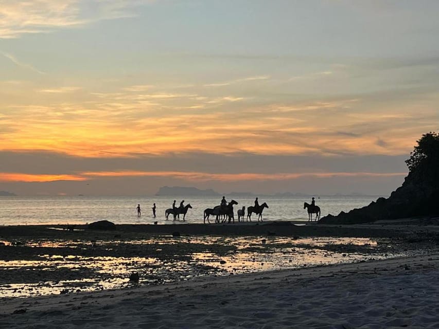 Koh Samui: Sunset Trail Horse Riding on The Beach - Booking and Meeting Details