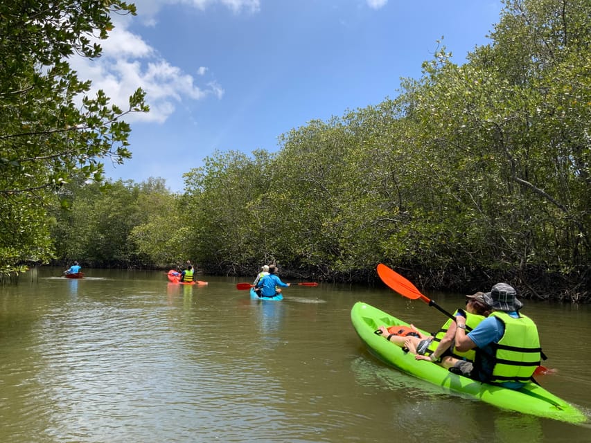 Koh Yao Yai: Klong Hia Mangrove Kayaking - Highlights and Experiences