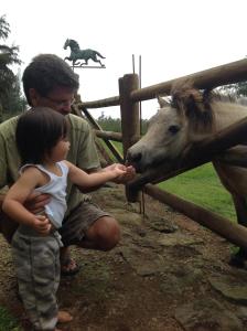 Kohala Lodge- Vacation Rental House - Amenities and Facilities