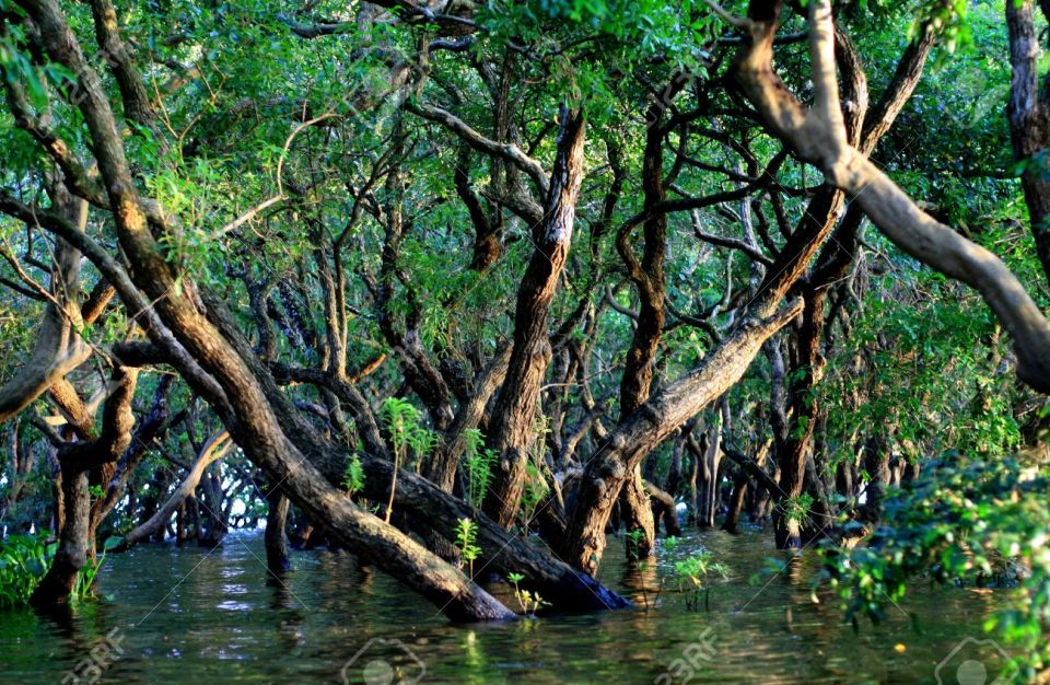 Kompong Phluk: 2 Villages and Sunset Tour - Scenic Tonle Sap Lake