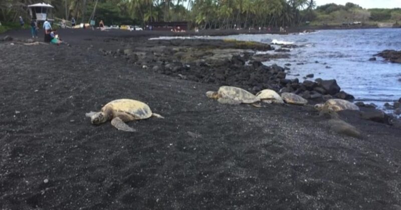 Kona: Choose Your Own Adventure - Booking Process
