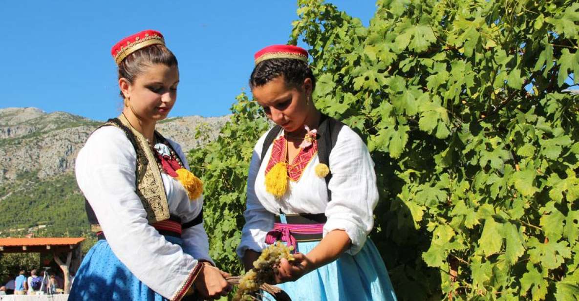 Konavle Valley: Private Half-Day Tour With Wine Tasting - Transportation and Logistics