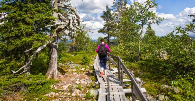 Korouoma National Park: Canyon Hike Tour & Barbeque - Cultural Significance of Lapland