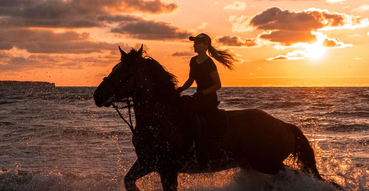 Kos: Horse Riding Experience on the Beach With Instructor - Inclusions