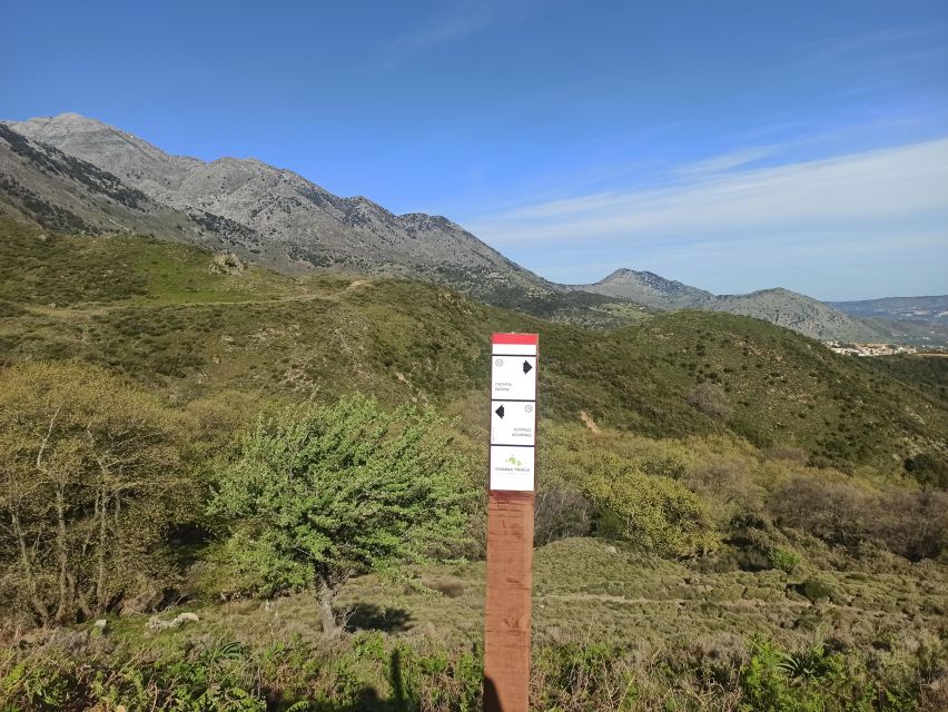 Kournas Lake: Hiking and Olive Oil Tasting - Guided Hiking Experience