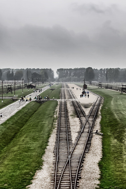 Kraków: Auschwitz-Birkenau and Wieliczka Salt Mine Day Trip - Auschwitz-Birkenau Museum Insights