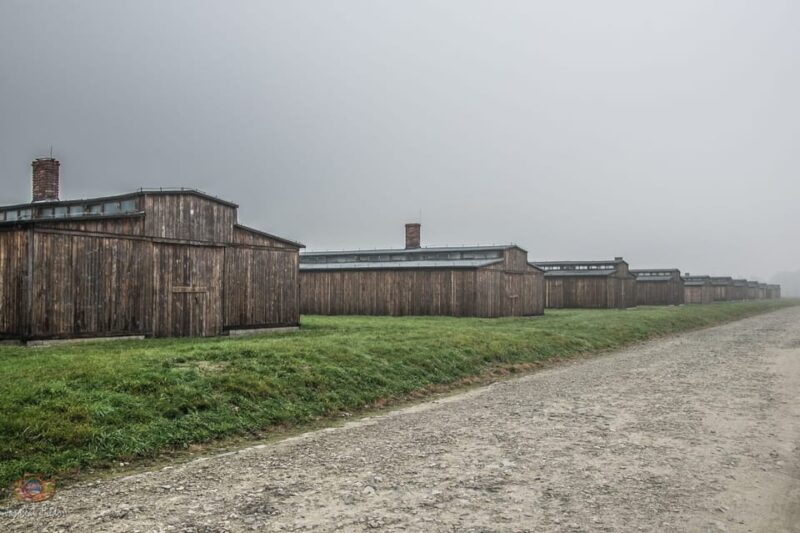 Krakow: Auschwitz-Birkenau Extended Guided Tour & Options - Inclusions and Options