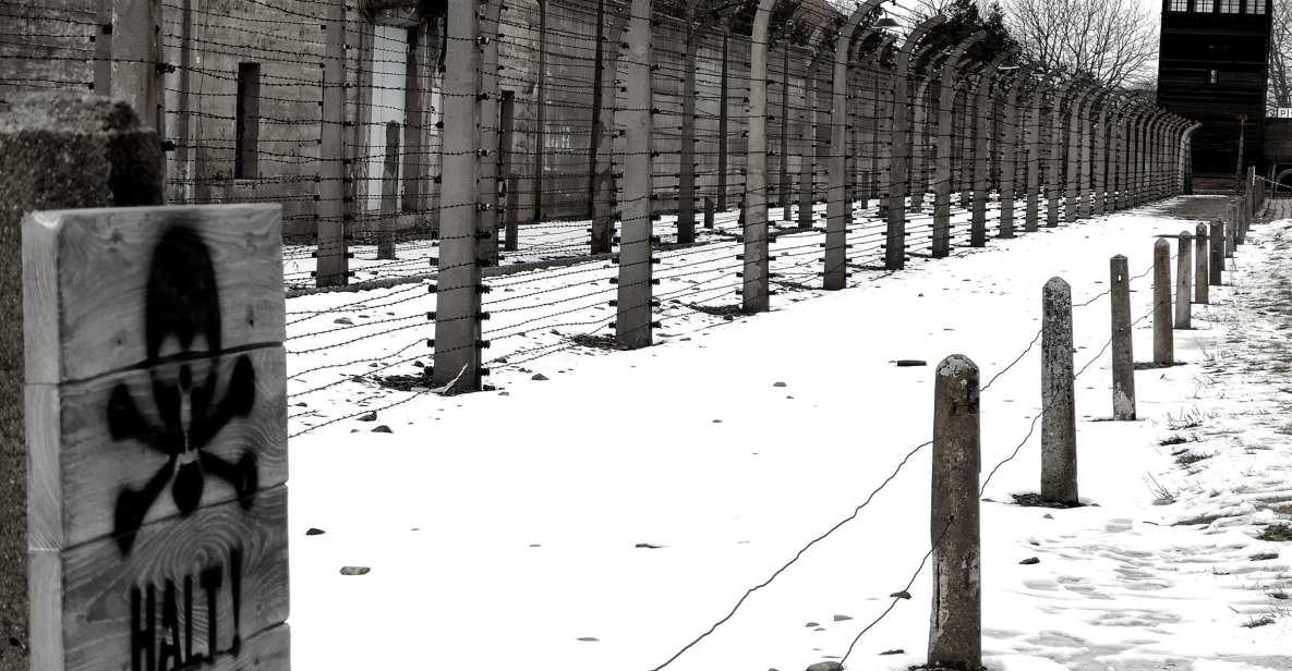 Krakow: Auschwitz-Birkenau Private Chauffeur Service - Experience Highlights