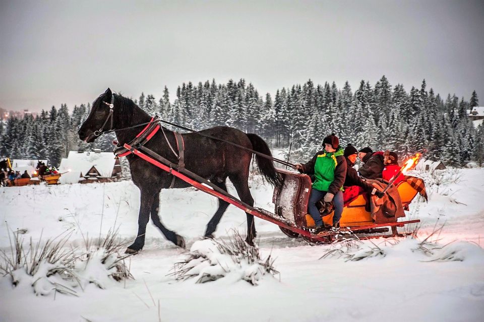 Kraków Frame; Tatra Mountain Sleigh Ride in Zakopane - Scenic Views and Atmosphere