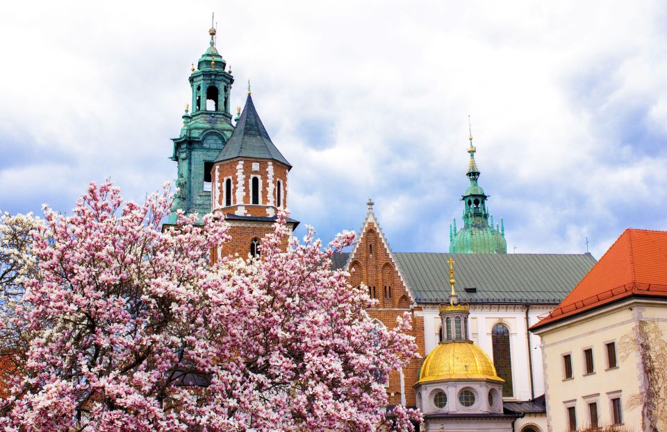 Krakow: Private Architecture Tour With a Local Expert - Historical Insights