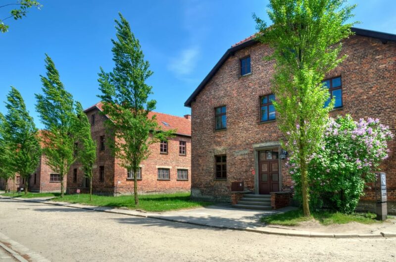 Krakow: Wieliczka Salt Mine and Auschwitz-Birkenau Tour - Inclusions and Logistics