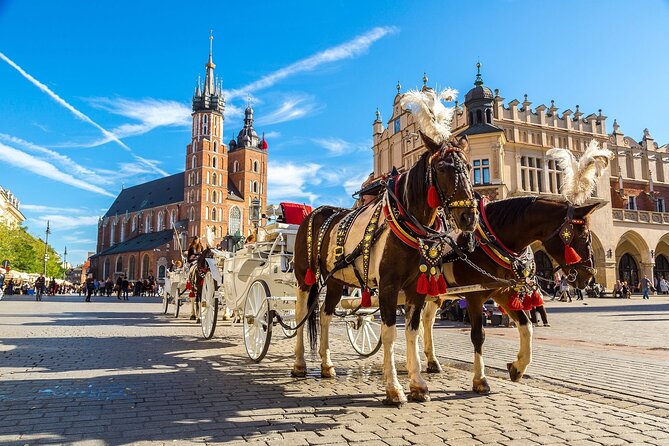 KRAKVEL Krakow Airport Transfer - Accessibility and Special Accommodations