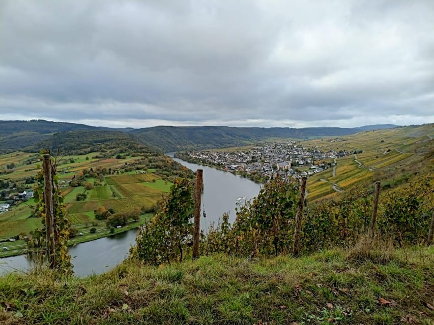 Kröv, Mosel: WAGON RIDE Through the Vineyards With Wine Tasting - Tour Experience