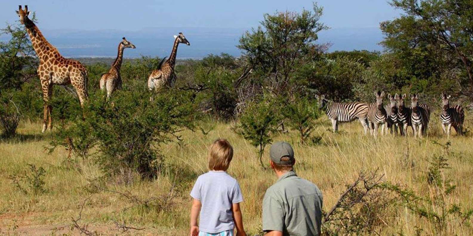 Kruger National Pk 4 Day Safari From Johannesburg & Pretoria - Detailed Daily Itinerary