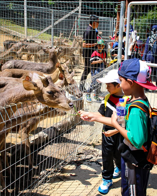 Kuantan: Teruntum Zoo Ticket - Wildlife and Exhibits