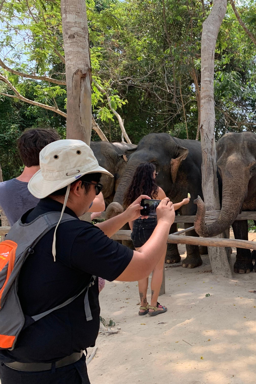 Kulen Elephant Forest & 1000 Lingas River Bed - Elephant Experience