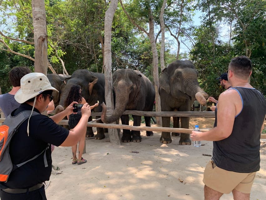 Kulen Elephant Forest & Tonlesap Lake Include Boat /Transfer - Experience Highlights