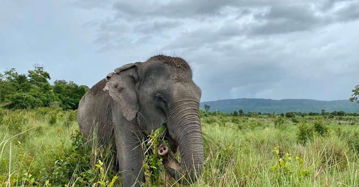 Kulen Mountain Day Trip With Picnic & Kulen Elephant Forest - Key Attractions