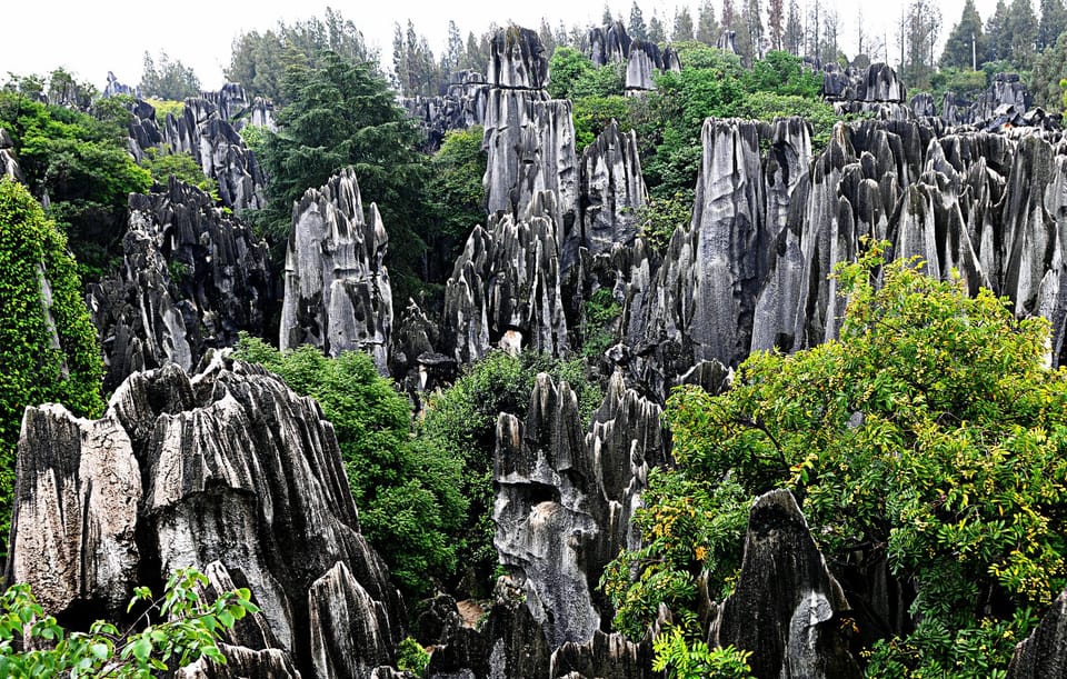 Kunming: Stone Forest and Jiuxiang Cave Day Tour - Key Attractions: Stone Forest